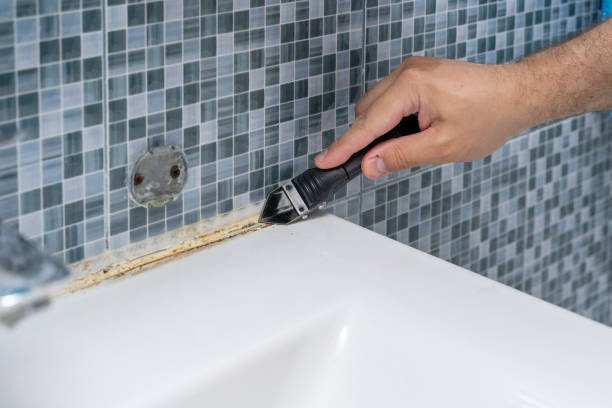 Best Mold Testing  in Durham, OR