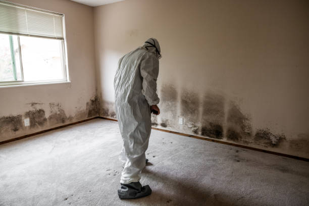 Certified Mold Removal in Durham, OR